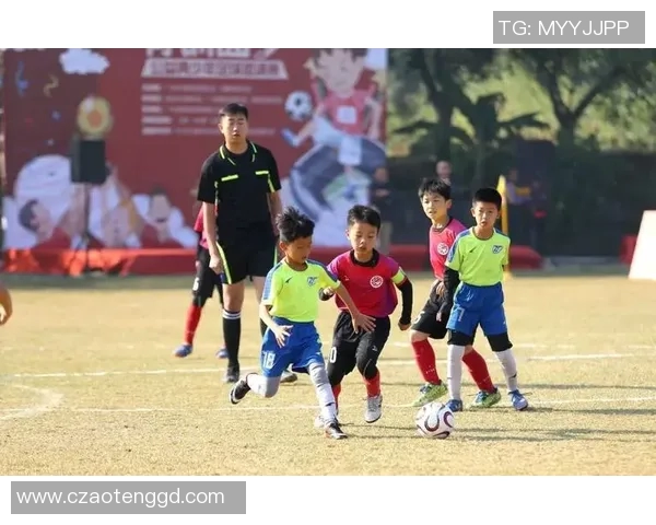 江苏足球球星成长历程与辉煌瞬间展现地方体育精神力量